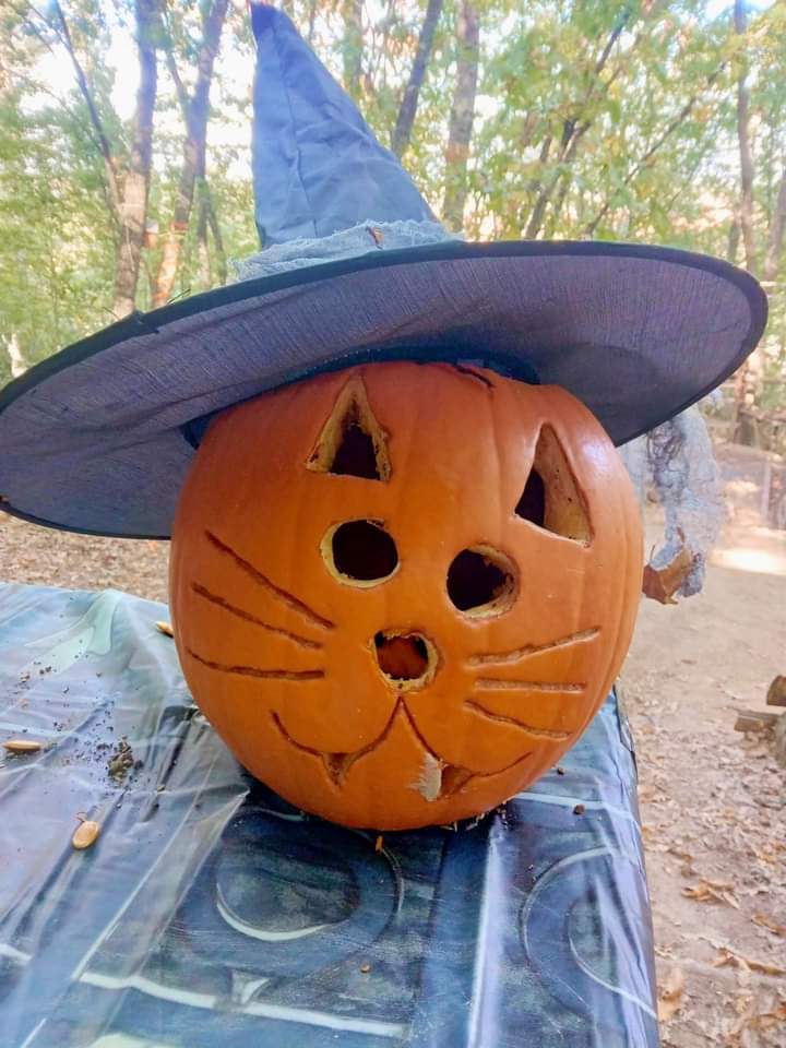 HALLOWEEN MEZZA GIORNATA
