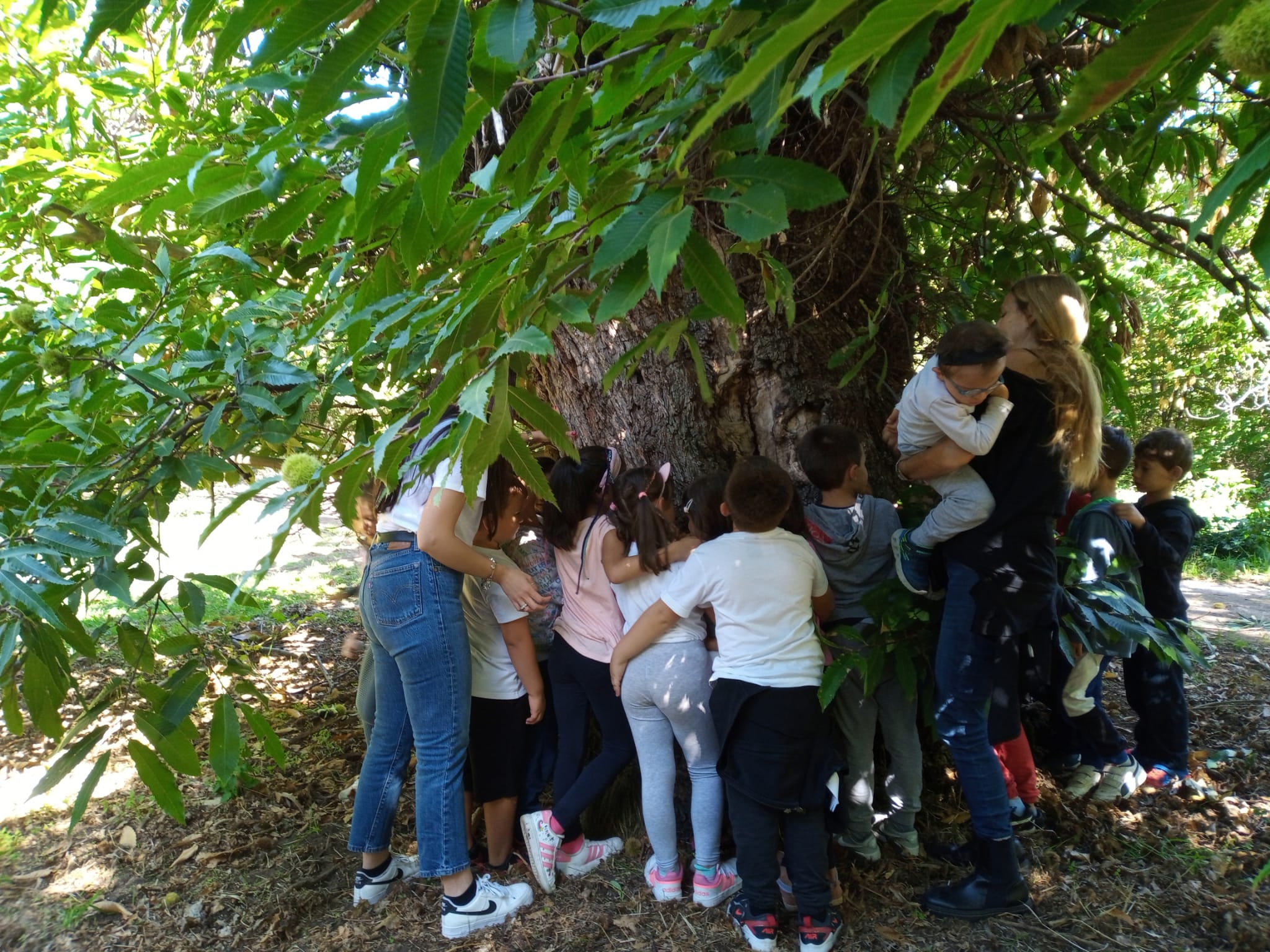 LE GIORNATE NEL BOSCO: CAMMINA, RALLENTA, RESPIRA, SCOPRI